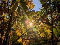 Программа празднования 109-летия города Мурманска