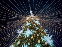 В Мурманске зажглись огни на главной новогодней елке