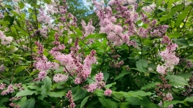 Понятие «студенческая семья» в России теперь закреплено законом