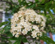 На Севере — лето: мурманчан приглашают присоединиться к региональной программе