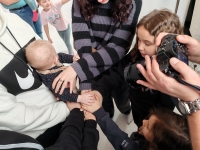 Президент России поручил предусмотреть статусные социальные привилегии для многодетных семей