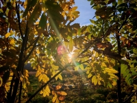 Программа празднования 109-летия города Мурманска