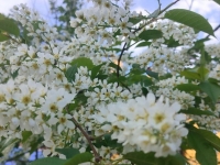 В Мурманской области реализуется проект поддержки семей «На Севере — малыш»