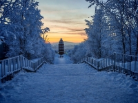 Сформирован перечень поручений Президента России по реализации демографической политики