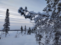 12 детей появились на свет в Мурманской области 1 января 2025 года