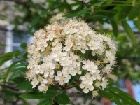 На Севере — лето: мурманчан приглашают присоединиться к региональной программе