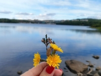 Новая мера соцподдержки многодетных семей введена в Мурманской области