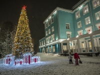 Мастер-класс по созданию ледяных фигур прошел для педагогов в Мурманске