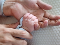 В Мурманской области появилась служба поддержки родителей «Ты не одна»