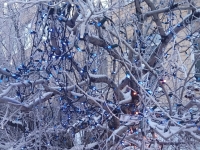 Минтруд предлагает выплачивать матерям-героиням более 72 тысяч рублей ежемесячно