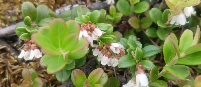 Афиша Драматического театра Северного флота на СЕНТЯБРЬ 0+