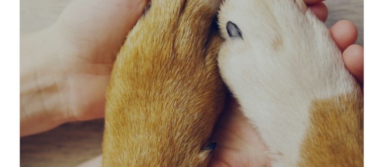 Читаем другу: юных северян пригашают на совместные чтения